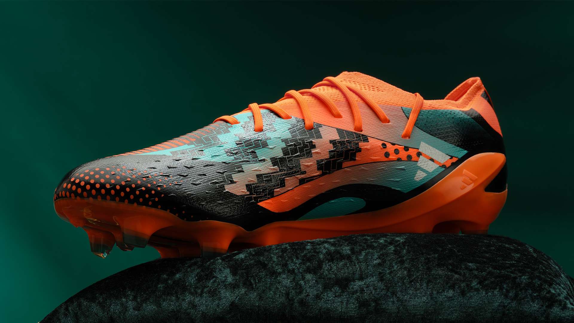 球迷们可以 球迷们可以